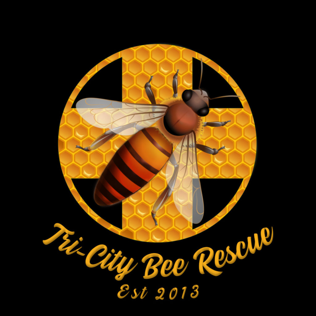 City Bee Rescue